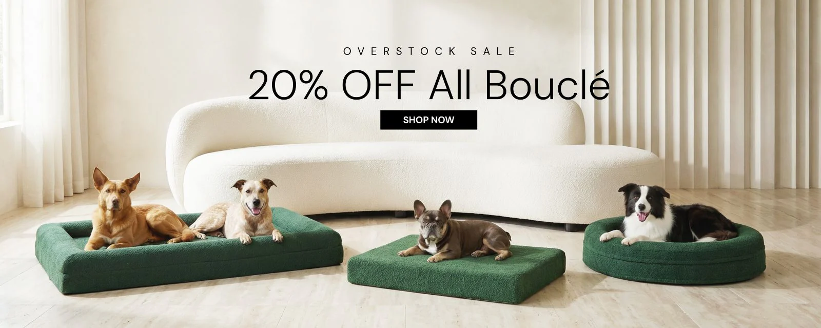 Award-Winning Comfort for Every Dog